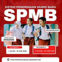PPDB